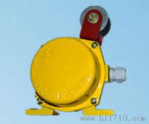 LLJ-B料流檢測器，料流開關(guān)，220V防爆型