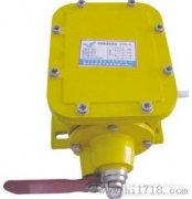 THZL-B-II縱向撕裂開關(guān)，撕裂檢測(cè)裝置，批發(fā)工程案例